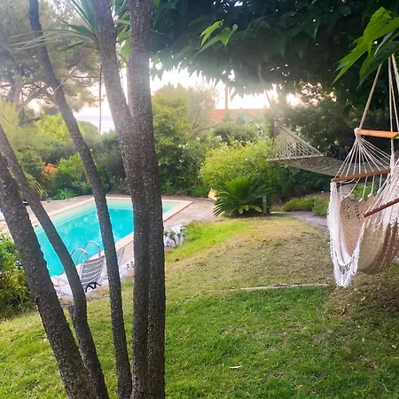 Villa Avec Piscine Près De Le Lavandou, 160 M²